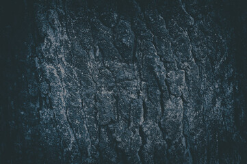 Abstract dark background with a light blue tint. Wood Background . Tree bark texture background. Defocus background.