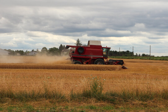 Ile de France - Brie - Beauce - Moissonneuse batteuse en action