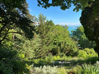 Landscape of the Mediterrannean Terrace or Mediterran-Terrassen (Flower Island Mainau on the Lake...