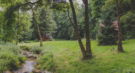 cabins in the forest
