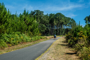 couple doing rollerblading line on bike paths in the forest