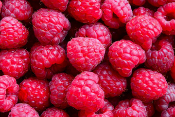 Fresh raspberry  top view. Raspberry  pattern