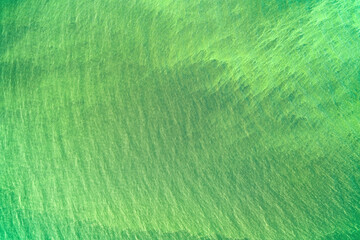 Bright green water with water plants aerial top view
