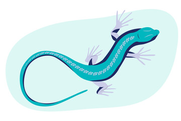 Blue lizard vector illustration. Reptile with long body and tail, four legs and blue skin. Design for poster, web site.