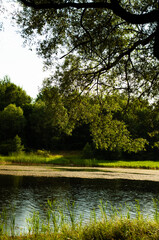 picturesque small lake. during the rain the sun came out