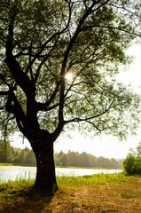 picturesque small lake. during the rain the sun came out