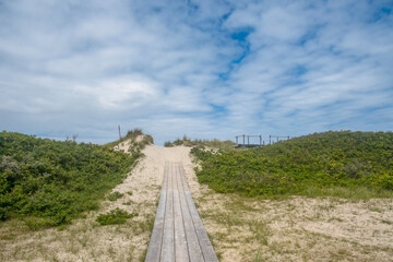 Fototapeta premium Bohlenweg in den Dünen
