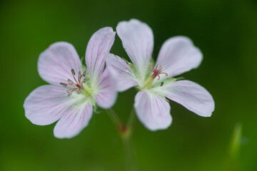 We Stick Together and Succeed!