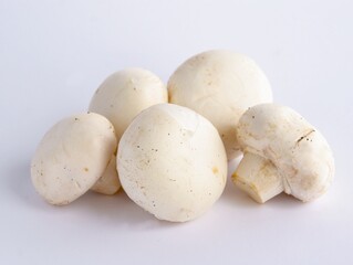 very tasty white edible mushrooms close up