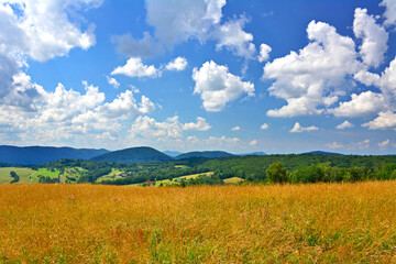 Lovely   scenery in summer.  Grassy meadow in mountains and blue sky width white clouds, Low Beskid (Beskid Niski), Poland