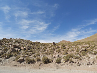Plain field with occasional grass bushes under a blue sky