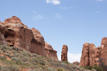 Fototapeta premium red fins at arches national park