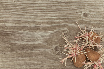 Sprouted weird organic potatoes on rustic wooden background. Flabby, wrinkled, ugly potato with...