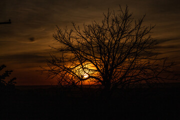 Fototapeta premium Sunrise