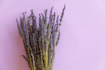 Dry lavender flower bouquet on violet background