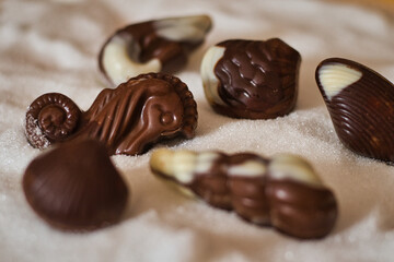 Chocolate seafood over sugar, figuring seashells and sand. Some sweets