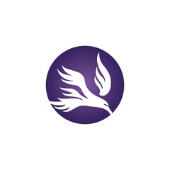 Falcon Logo Template vector