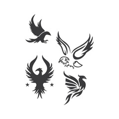Falcon Logo Template vector