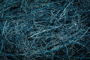 Nature Photos of New England by Constantine