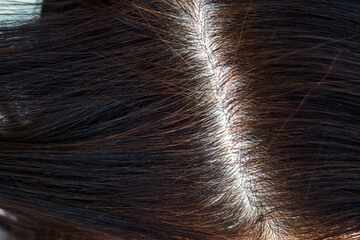 Womens head with gray hair, close-up view of regrown roots.