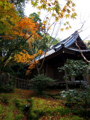 Fototapeta premium The temple and autumn leaves in Japan