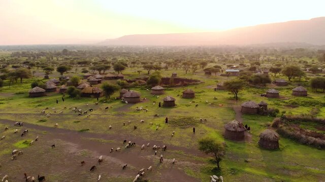 Aerial Drone Shot. Traditional Masai village at Sunset time near Mto wa Mbu, Arusha, Tanzania.