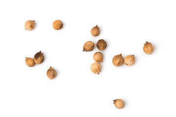 Coriander seeds isolated on white background