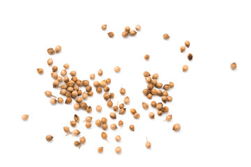 Coriander seeds isolated on white background