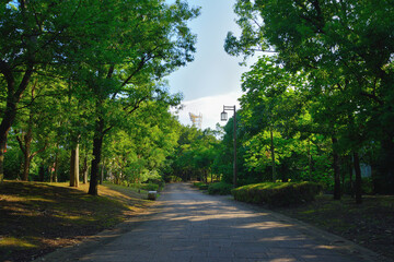 青海南ふ頭公園/Beautiful scenery from Aomi Minami Futo Park