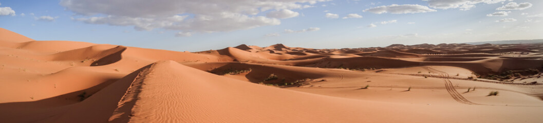 Fototapeta na wymiar Panorámica de las dunas del desierto de Merzouga en Marruecos