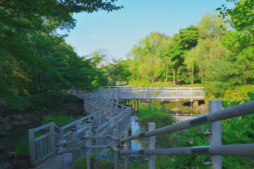 青海南ふ頭公園/Beautiful scenery from Aomi Minami Futo Park