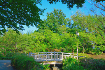 Obraz premium 青海南ふ頭公園/Beautiful scenery from Aomi Minami Futo Park