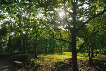 Fototapeta premium 青海南ふ頭公園/Beautiful scenery from Aomi Minami Futo Park