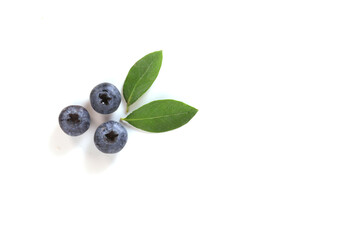 Blueberries and leaves