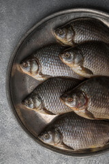 Crucian river fish on a gray background, top view