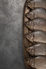 Crucian river fish on a gray background, top view