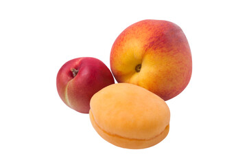Peach and apricot isolated on white background
