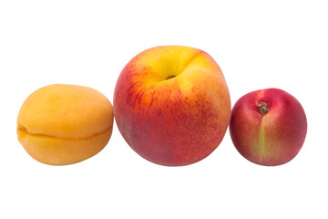 Peach and apricot isolated on white background