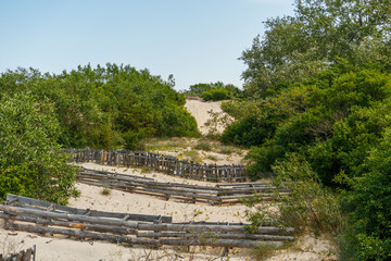 Fototapeta na wymiar Strengthening the sand dune with tree branches