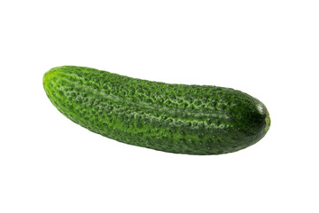 Fresh cucumber isolated on white background