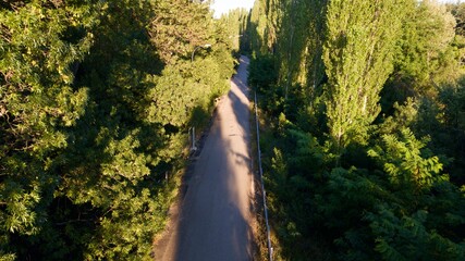 Naklejka na ściany i meble Aerial view of the forest pathway near the trees at sunset. street lamp can be seen