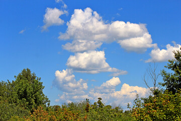 unusual cloud shapes in the summer sky