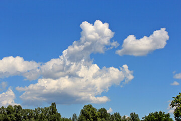 unusual cloud shapes in the summer sky