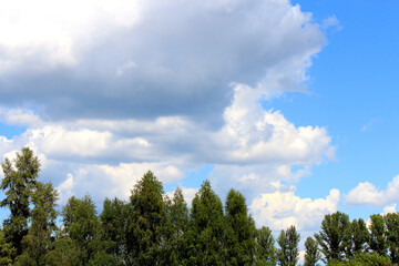 unusual cloud shapes in the summer sky