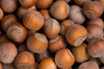 Many hazelnuts as background texture close-up