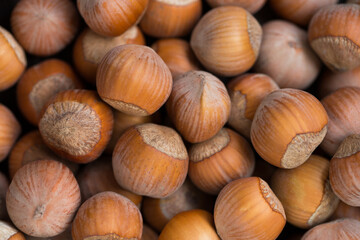 Many hazelnuts as background texture close-up