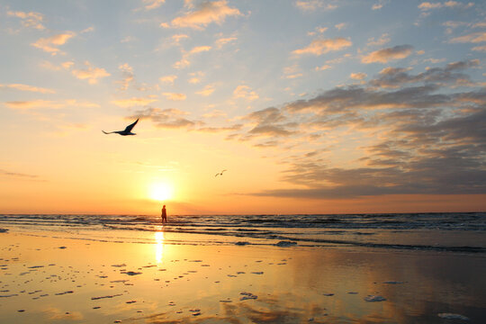 Beach at sunrise with seagulls and silhouette of woman
