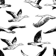 Hand drawn vector seamless pattern of flying greylag geese. Background of wild birds realistic black sketches. Abstract outline design for wallpaper, wrapping, textile, postcard, print, fabric, decor.