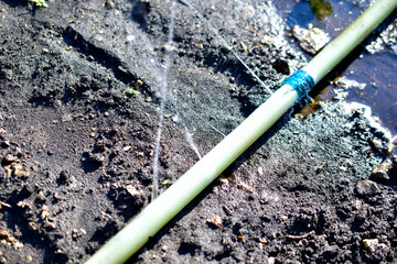 Garden watering with water from a hose and a water Sprinter