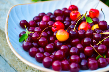 Many berries ripe cherries on a white plate in the garden